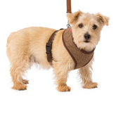 Brown Tweed Memory Foam Dog Harness by House of Paws